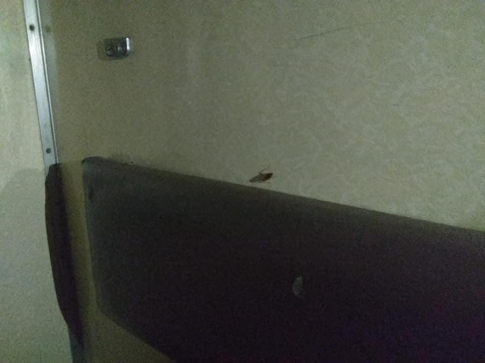 Таргани в плацкартному вагоні / фото: Олена Семенова/Facebook Таргани в плацкартному вагоні / фото: Олена Семенова/Facebook