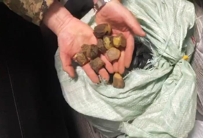 Каміння бурштину було "дбайливо розфасоване у п’ять опломбованих мішечків" / dpsu.gov.ua Каміння бурштину було "дбайливо розфасоване у п’ять опломбованих мішечків" / dpsu.gov.ua