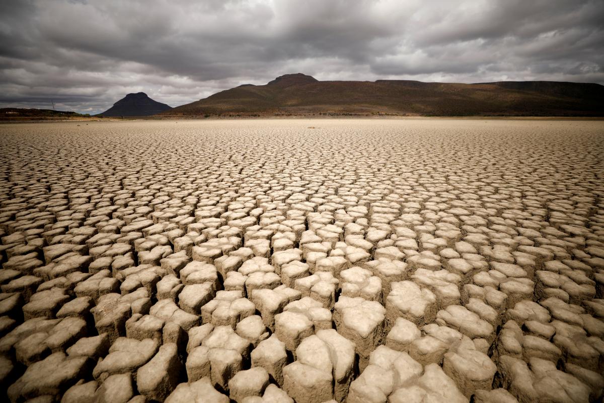 ИИ подсчитал, когда мир достигнет порога глобального потепления / фото REUTERS