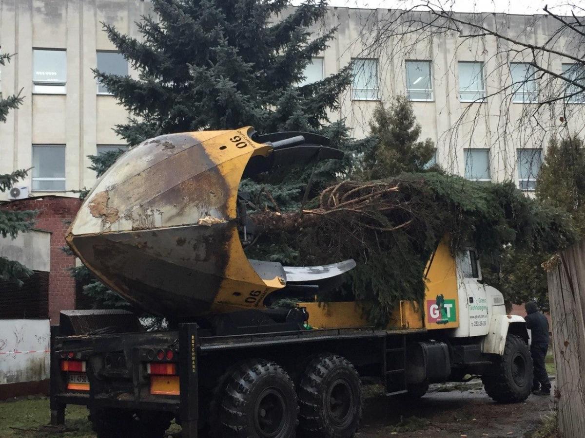 Роботи з пересадки дерев виконуються за рахунок замовника будівництва будинку / фото УНІАН Роботи з пересадки дерев виконуються за рахунок замовника будівництва будинку / фото УНІАН