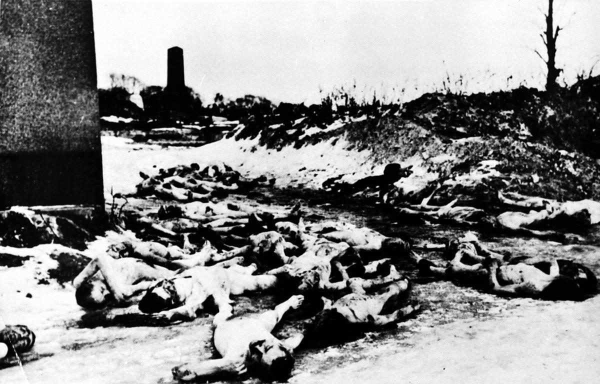 Трупи на єврейському кладовищі. Львів, 1941 р. / memory.gov.ua
