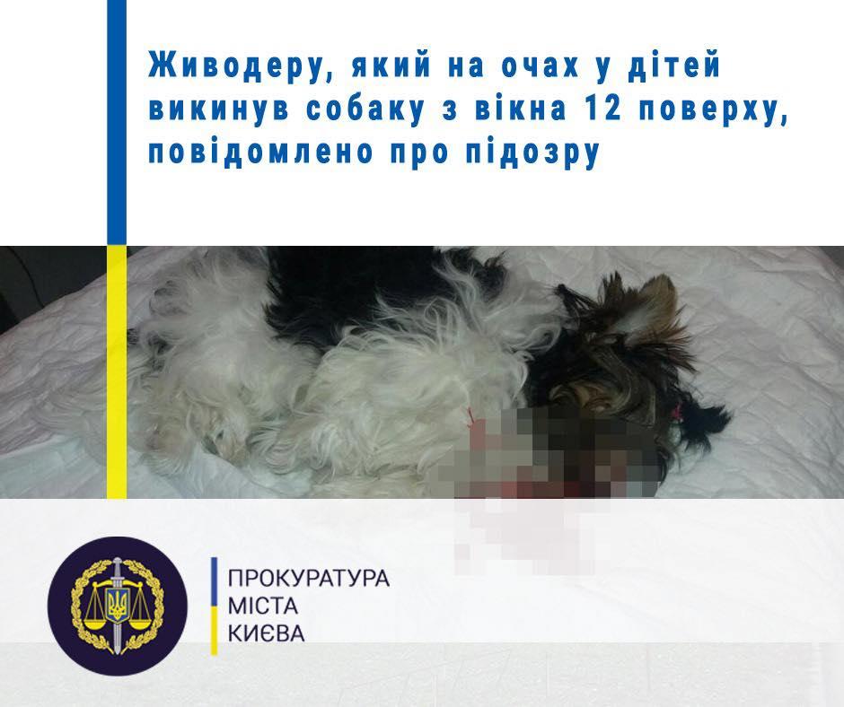 Від отриманих травм собака загинула / фото Прокуратури Від отриманих травм собака загинула / фото Прокуратури