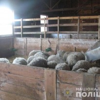 Под Киевом в частном зоопарке издевались над животными, полиция открыла производство (фото)