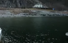 На западе Норвегии установилась аномально жаркая погода