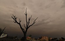В Одесской области горел Нижнеднестровский природный парк