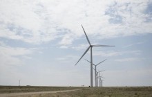 CEO Mars: “Бізнес повинен відігравати активну роль у вирішенні екологічних проблем"