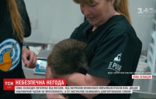 У Новій Зеландії пташки ківі опинилися під загрозою вимирання через засуху (відео)