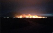 Масштабный пожар: под Одессой горит нацпарк (фото)