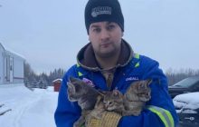 Житель Канады спас троих котят из ледяной ловушки с помощью кофе (видео)