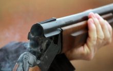 В Запорожской области браконьеры ради забавы расстреляли степного орла (фото)