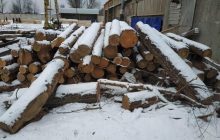 Посадовці лісгоспу Житомирщини розікрали державної деревини на 3 мільйони гривень (фото)