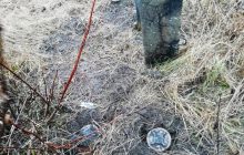 Бойовики на Донбасі встановили російські міни "Чорна вдова", заборонені Оттавською конвенцією (фото)