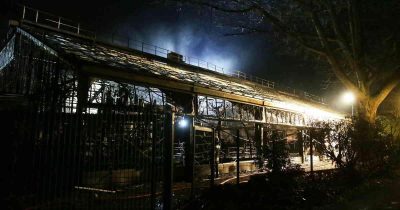 Погибли В Новогоднюю Ночь