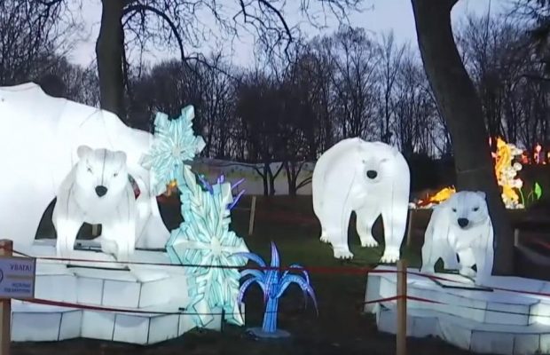 На Певческом поле началось празднование китайского Нового года (видео)