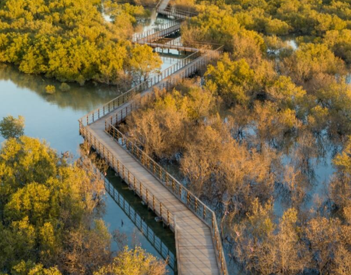 В чистій воді можна спостерігати птахів, риб і крабів \ park.jubailisland.ae В чистій воді можна спостерігати птахів, риб і крабів \ park.jubailisland.ae