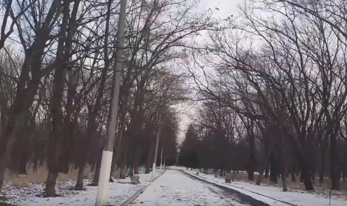 Вдень у парку не було жодної людини / Фото: соцмережі Вдень у парку не було жодної людини / Фото: соцмережі