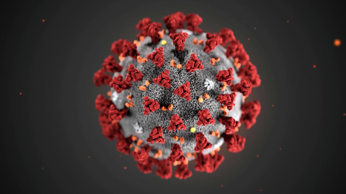 Разведка США считает, что коронавирус не был разработан как биологическое оружие / фото REUTERS