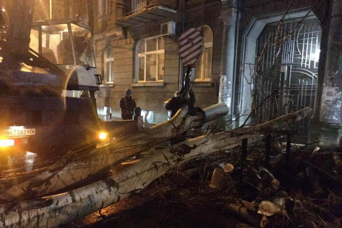 Сейчас 40 деревьев уже убраны специалистами / фото пресс-службы мэрии Одессы Сейчас 40 деревьев уже убраны специалистами / фото пресс-службы мэрии Одессы
