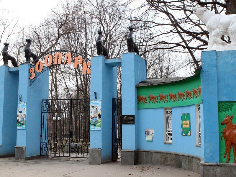У зоопарку Харкова йдуть на "рекорд" / фото anticor-kharkiv.org У зоопарку Харкова йдуть на "рекорд" / фото anticor-kharkiv.org