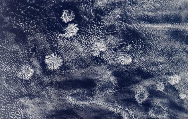 Хмари-актинії можуть досягати 300 км у діаметрі / Фото: © NASA Хмари-актинії можуть досягати 300 км у діаметрі / Фото: © NASA