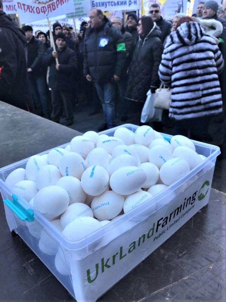 About 6,000 farmers demand NABU chief's resignation, accuse him of pressure on Ukrainian business About 6,000 farmers demand NABU chief's resignation, accuse him of pressure on Ukrainian business