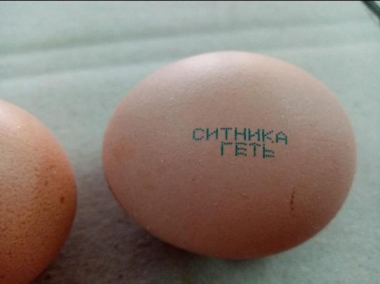 About 6,000 farmers demand NABU chief's resignation, accuse him of pressure on Ukrainian business About 6,000 farmers demand NABU chief's resignation, accuse him of pressure on Ukrainian business