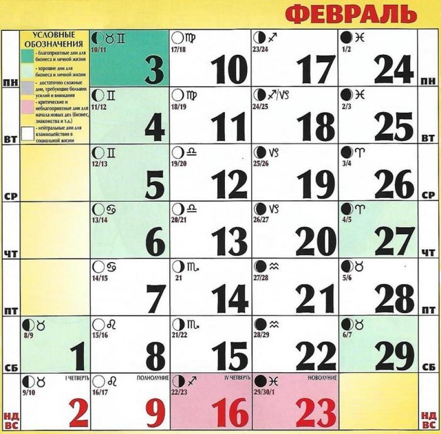 vedmochka.net vedmochka.net