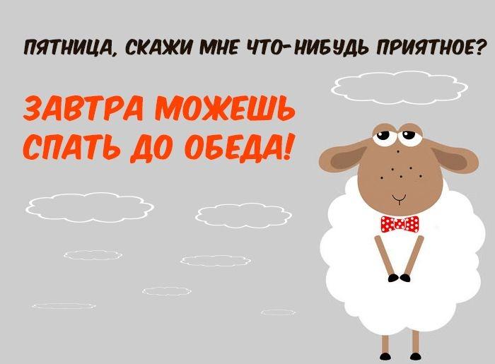 Пятница - время выпить / Фото из сети Пятница - время выпить / Фото из сети