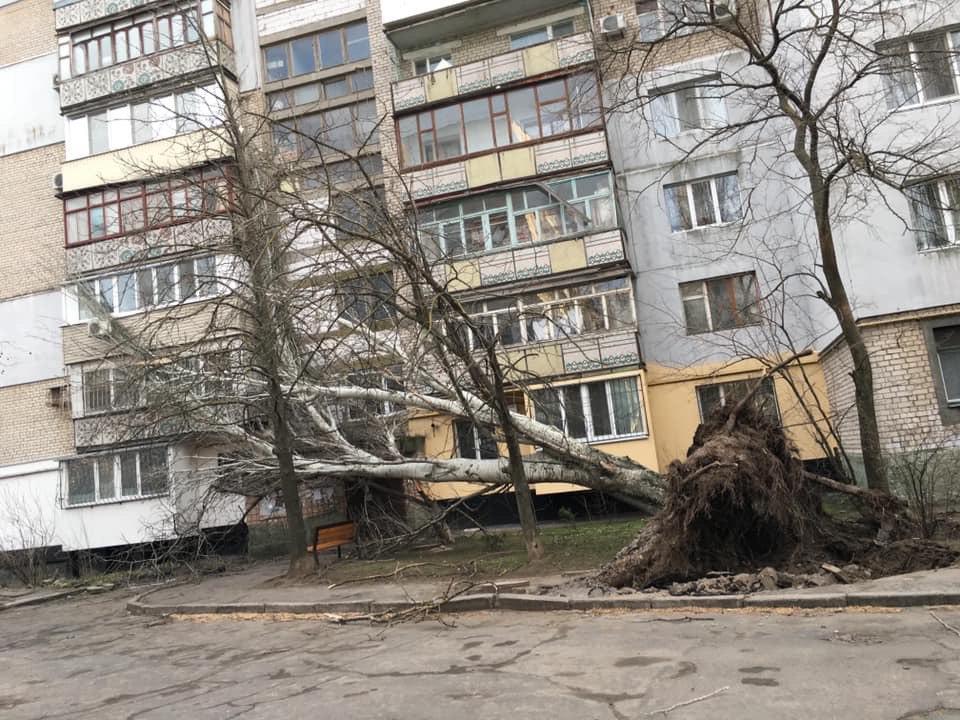 Комунальні служби працюють у посиленому режимі / фото Никвести Комунальні служби працюють у посиленому режимі / фото Никвести
