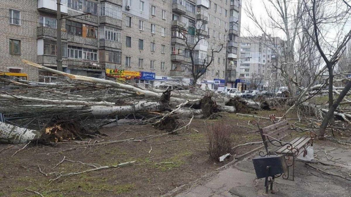 У Миколаєві вирує негода / фото Никвести У Миколаєві вирує негода / фото Никвести