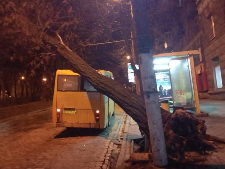 Сильный ветер повалил дерево на маршрутку №101 / фото ГУ ГСЧС Украины в Днепропетровской области Сильный ветер повалил дерево на маршрутку №101 / фото ГУ ГСЧС Украины в Днепропетровской области