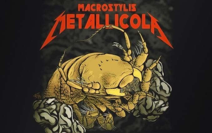 Новий вид ракоподібних назвали на честь групи Metallica / фото Anna Frenkel Senckenberg Новий вид ракоподібних назвали на честь групи Metallica / фото Anna Frenkel Senckenberg