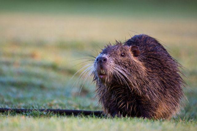 / фото Flickr.com / фото Flickr.com