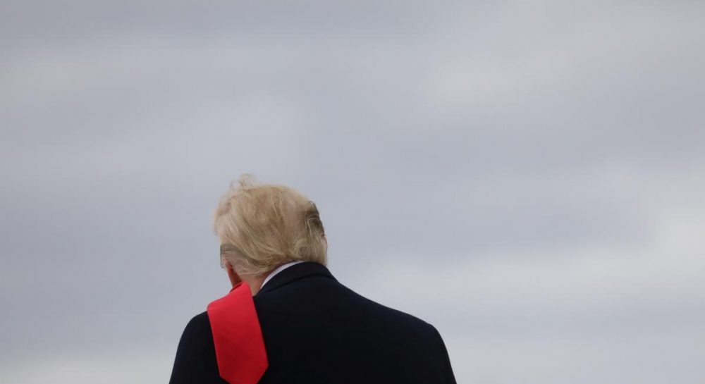 Уклонение от уплаты налогов и хищения: компанию Трампа обвинили в ряде преступлений - Vimarsana News