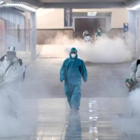 В Китай пришла бубонная чума: введен третий уровень опасности
