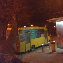 В центре Днепра дерево упало на маршрутку (фото)