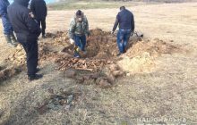 На Ривненщине посреди поля нашли человеческие останки (фото)