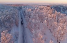 Рада одобрила в первом чтении законопроект об инвентаризации украинских лесов