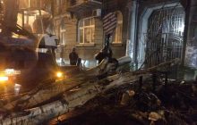 В Одессе из-за сильного ветра упали почти 50 деревьев (фото)