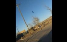 Глюк у матриці: у мережі обговорюють птицю, яка нерухомо застигла в небі (відео)