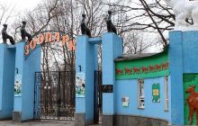 У зоопарку Харкова хочуть побудувати туалет за 17 мільйонів гривень