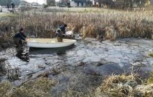 На Львовщине автомобиль слетел в озеро: четверо погибших