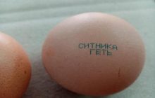 Мітингувальники подарували директору НАБУ яйця з написом "Ситника - геть!" (фото, відео)