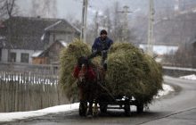 Министр экономики рассказал об одной из целей Кабмина: украинские села должны быть богатыми