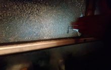 Розбите скло та діра у вікні: у мережі з'явилися фото автобуса, який віз евакуйованих з Китаю українців