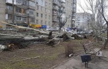 У Миколаєві сильний вітер повалив більше 250 дерев та зруйнував 75 дахів будинків (фото)