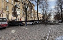 Погодний апокаліпсис: сильний вітер на півдні України зламав міст, повиривав дерева та зніс десятки дахів (відео)