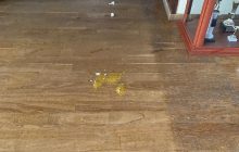 Депутата от "Оппозиционного блока" забросали яйцами в мэрии Николаева (фото)
