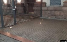 "Русские топчут нашу землю": территорию посольства РФ в Киеве забросали лаптями