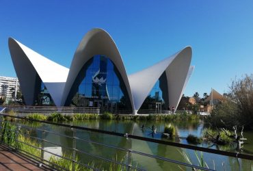 Океанариум Валенсии